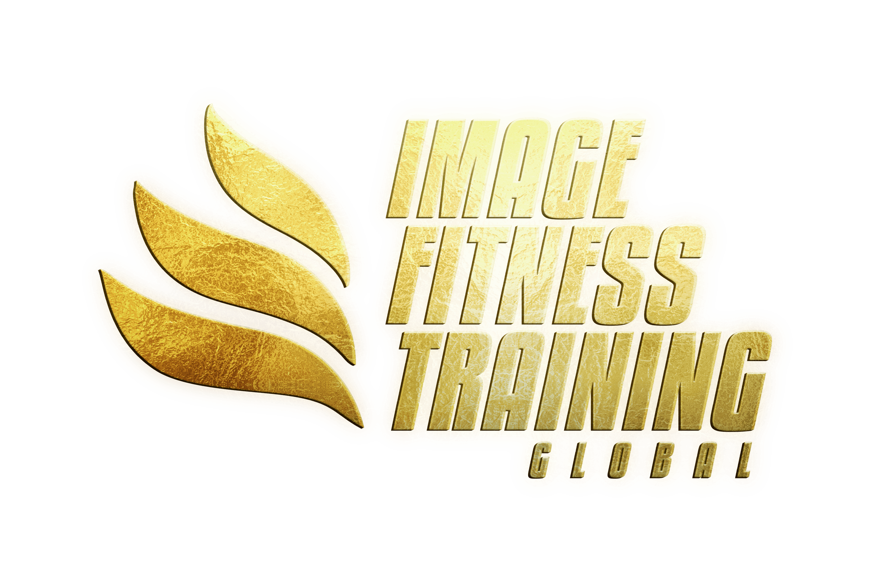 Image Fitness Training